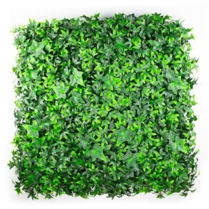 Hedera Sterblad
