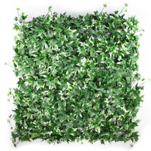Hedera Sterblad Bont