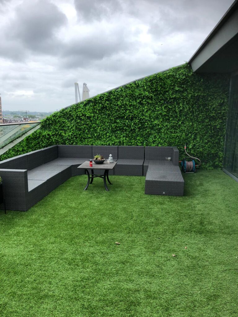 Vegetatie Fijn blad Rotterdam