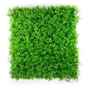 Buxus Muisdoorn Kunsthaag