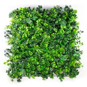 Vegetatie Grof Hedera