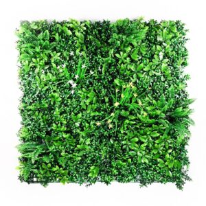Vegetatie schefflera wildbush