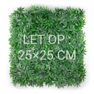 Cannabis sativa staal