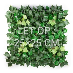 Hedera Helix met bloem staal