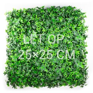 Hedera Sterblad staal