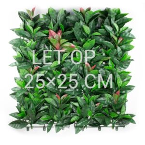 Photinia Red Robin staal