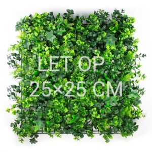 Vegetatie Grof Hedera staal